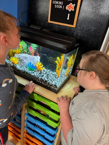 Students look at fish in their new fish tank.