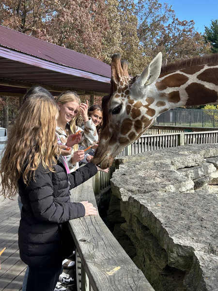 Students pet a giraffe.